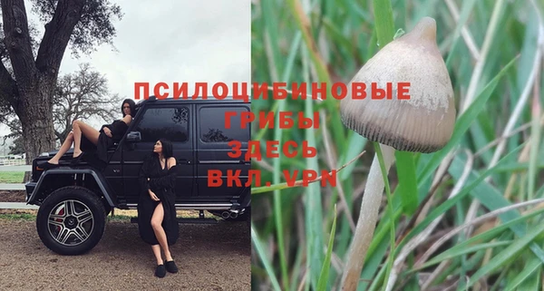 прущая мука Верхнеуральск