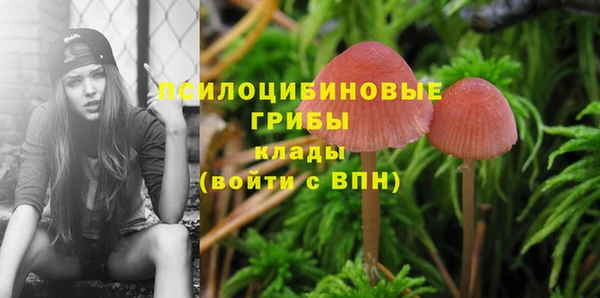 Альфа ПВП Верхний Тагил
