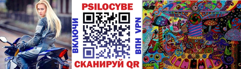 Псилоцибиновые грибы Psilocybe  как найти наркотики  Электросталь 